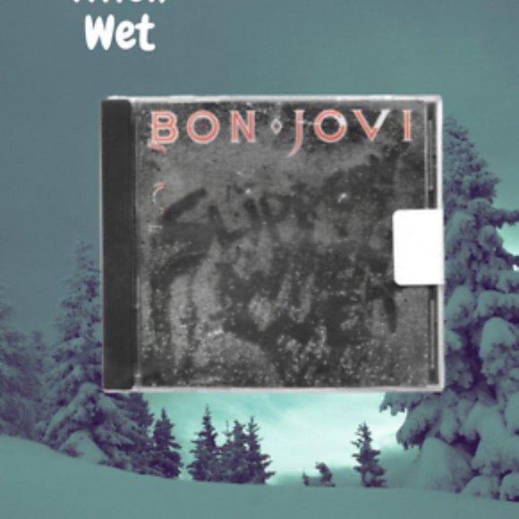 Bon Jovi Slippery When Wet cd ( Vintage Release Year 1986 ) - Picture 1 of 3